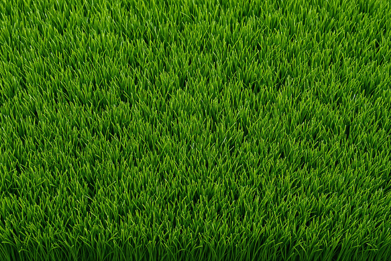 Synthetic lawn turf in Ceres, CA